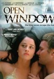 Affiche de Open Window
