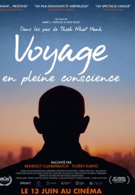 Affiche de Voyage en pleine conscience