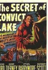 Affiche de L'Énigme du lac noir
