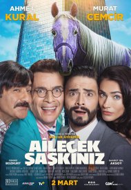 Affiche de Ailecek Şaşkınız