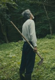 Affiche de The Fisherman and the Forest
