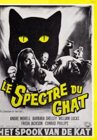Affiche de Le spectre du chat