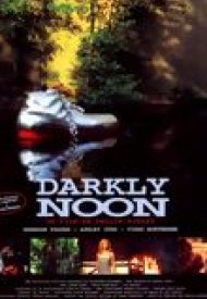 Affiche de Darkly Noon