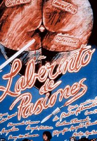 Affiche de Le Labyrinthe des passions