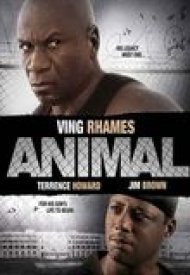 Affiche de Animal