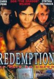 Affiche de Redemption : Un flic en enfer