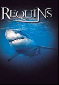 Affiche de Le Monde des requins - Requins 3D