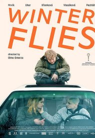 Affiche de Winter Flies