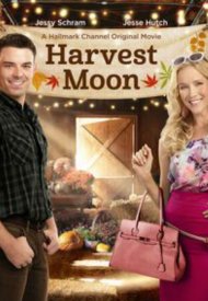 Affiche de Coup de foudre à Harvest Moon