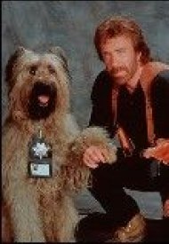 Affiche de Top Dog