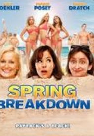 Affiche de Spring Breakdown