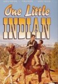 Affiche de Un Petit Indien