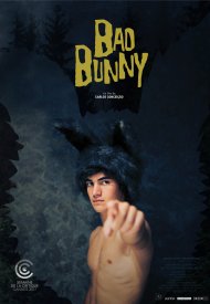 Affiche de Mauvais Lapin