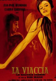 Affiche de Les Mauvais chemins