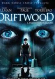 Affiche de Driftwood