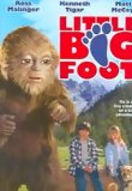 Affiche de La Légende de Bigfoot