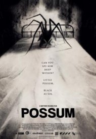Affiche de Possum