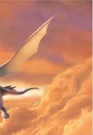 Affiche de Dragon Rider