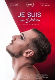 Affiche de Je suis un délire