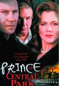 Affiche de Prince of Central Park