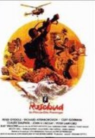 Affiche de Rosebud