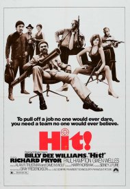 Affiche de Hit!
