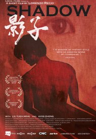 Affiche de Shadow