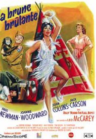 Affiche de La Brune brulante