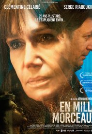 Affiche de En mille morceaux
