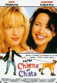 Affiche de Entre chiens et chats