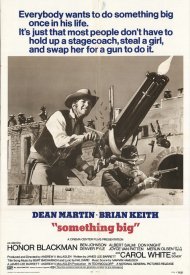 Affiche de Rio verde