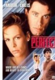 Affiche de Perfect