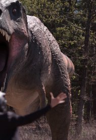Affiche de The Jurassic Games