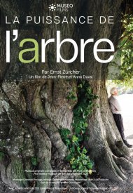 Affiche de La Puissance de l'arbre avec Ernst Zürcher