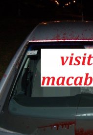 Affiche de Visite macabre