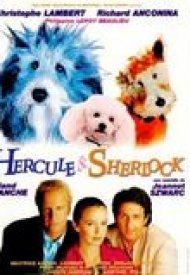 Affiche de Hercule et Sherlock