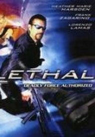 Affiche de Lethal