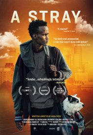 Affiche de A Stray