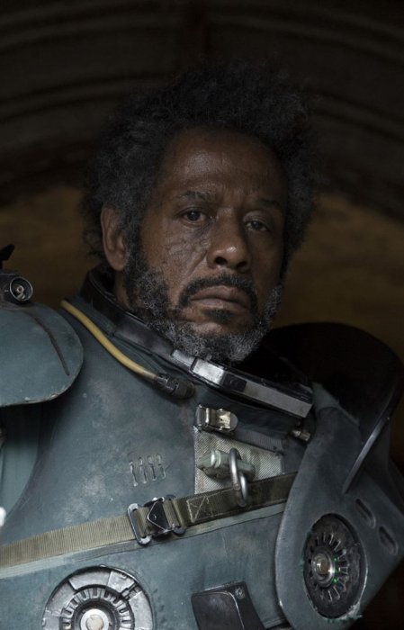 Forest Whitaker, le touche à tout Forest Whitaker, le touche à tout