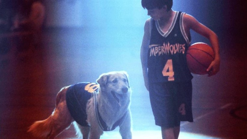 Josh Framm et Buddy dans "Air Bud" (1998) Josh Framm et Buddy dans "Air Bud" (1998)