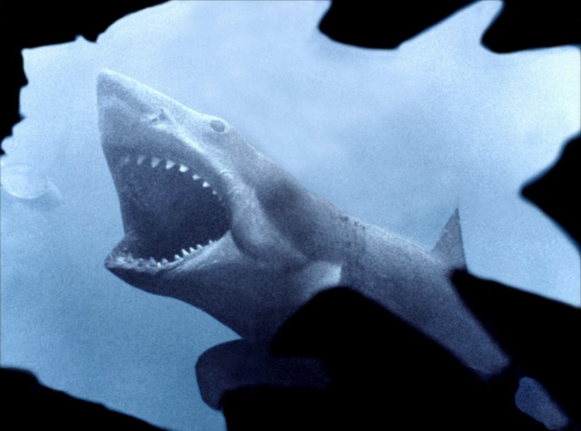 "Les Dents de la mer", l'un des premiers blockbusters "Les Dents de la mer", l'un des premiers blockbusters