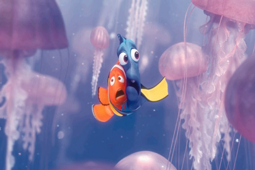 "Le Monde de Nemo", une aventure riche en rencontres "Le Monde de Nemo", une aventure riche en rencontres