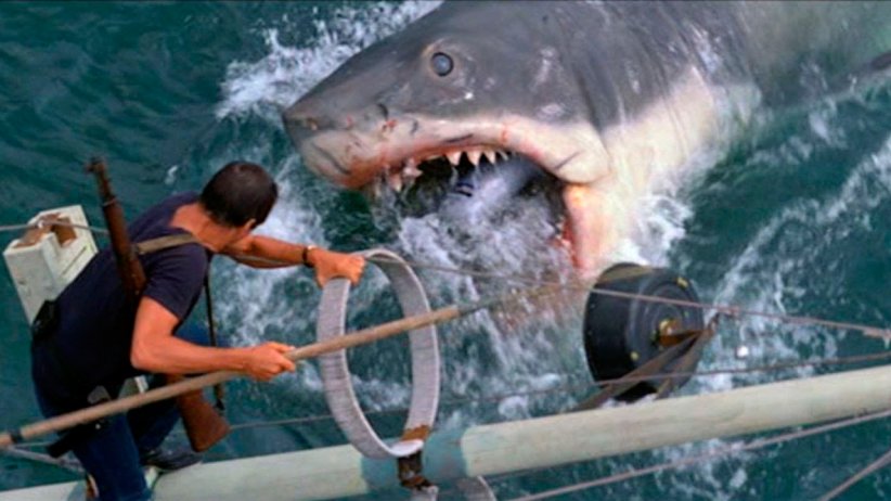 "Les dents de la mer" : alerte aux requins ! "Les dents de la mer" : alerte aux requins !
