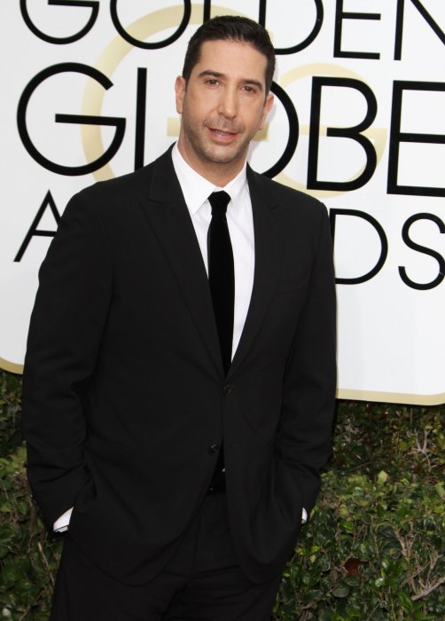 David Schwimmer alias Ross Geller David Schwimmer alias Ross Geller