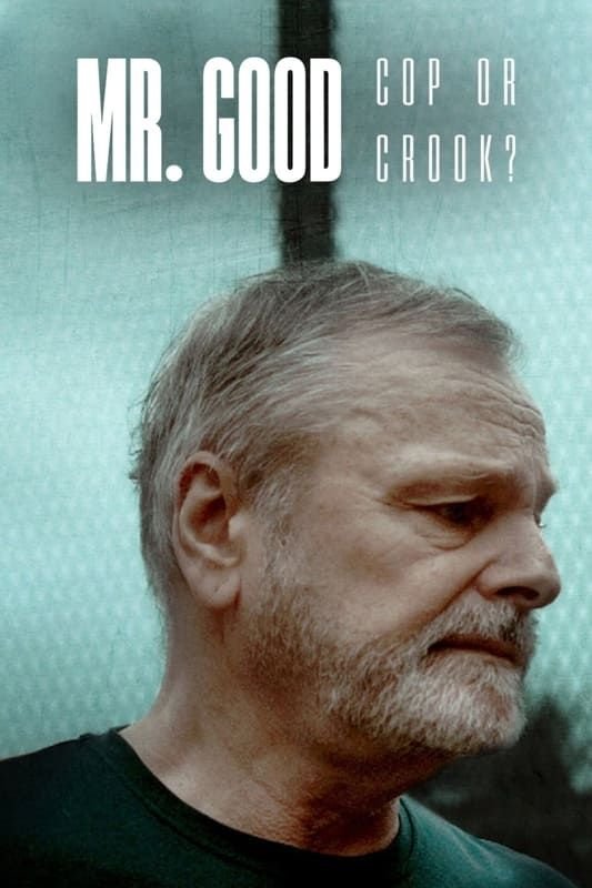 Mr. Good : Flic ou baron ? - Saison 1