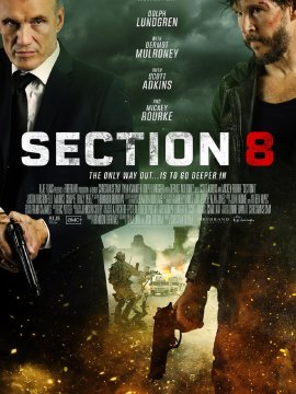 Section 8