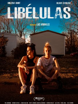 Libélulas
