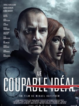 Le Coupable idéal