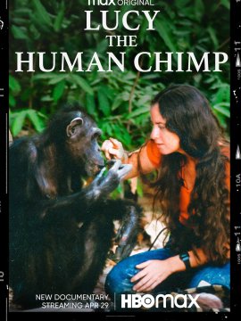 Lucy The Human Chimp