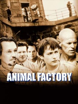 Animal Factory